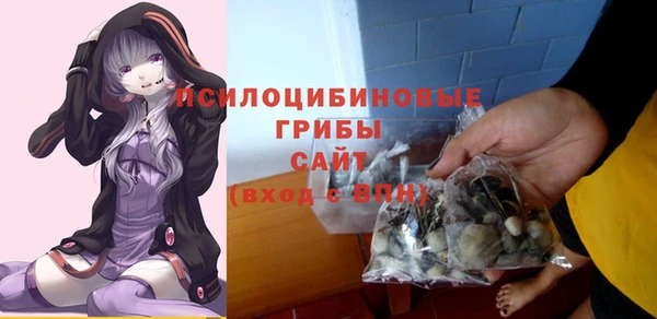 индика Каменногорск