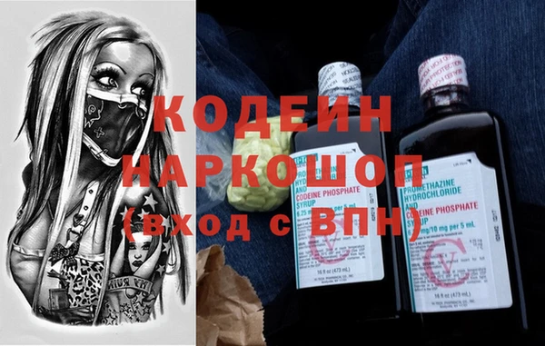 индика Каменногорск