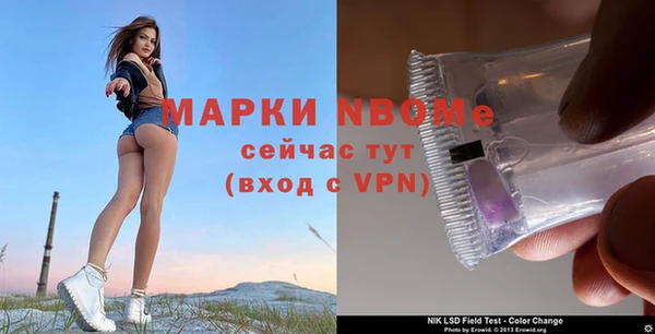 индика Каменногорск