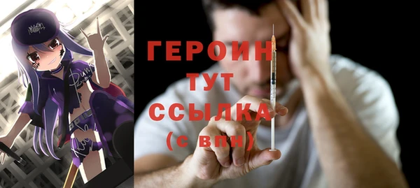 индика Каменногорск