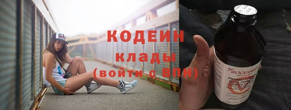 индика Каменногорск