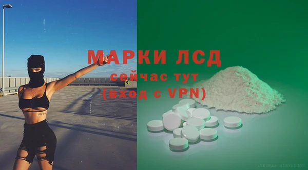 прущий лед Каменка