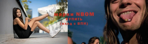 индика Каменногорск