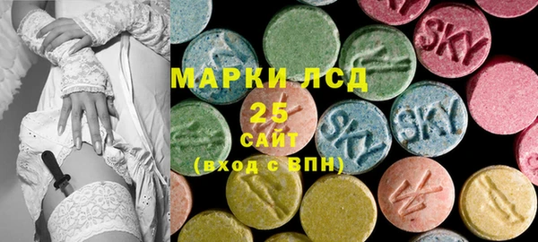 индика Каменногорск