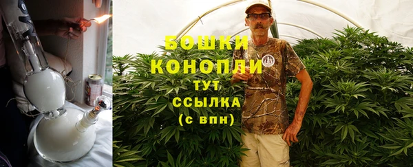 индика Каменногорск