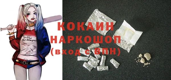 индика Каменногорск