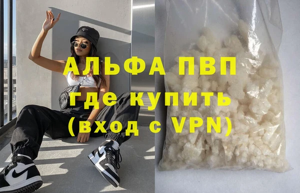 индика Каменногорск