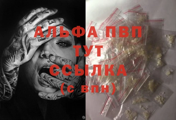 прущий лед Каменка