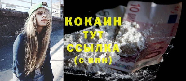 индика Каменногорск