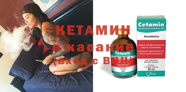 индика Каменногорск