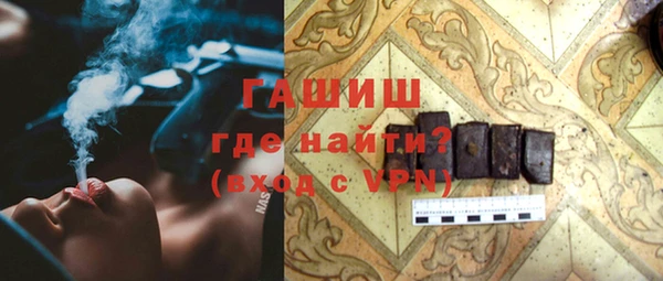 индика Каменногорск