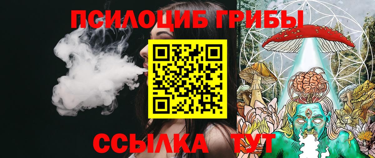 Псилоцибиновые грибы прущие грибы  Вход с VPN  Фрязино 