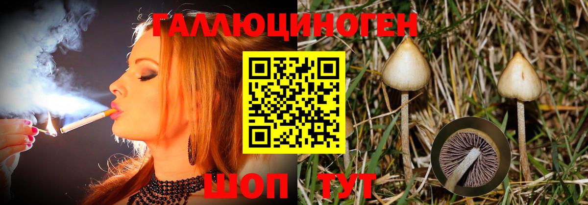 Псилоцибиновые грибы ЛСД Фрязино